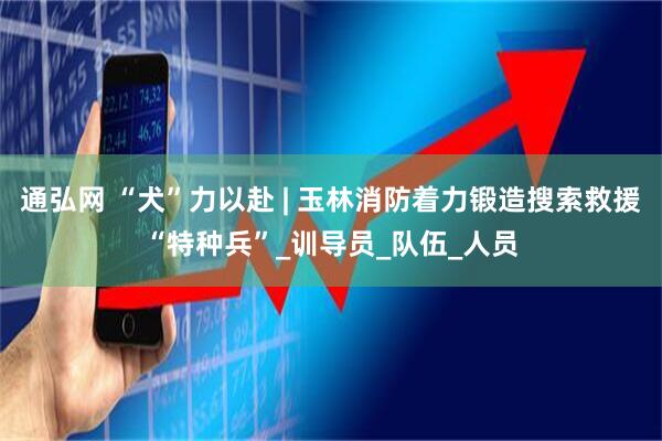 通弘网 “犬”力以赴 | 玉林消防着力锻造搜索救援“特种兵”_训导员_队伍_人员