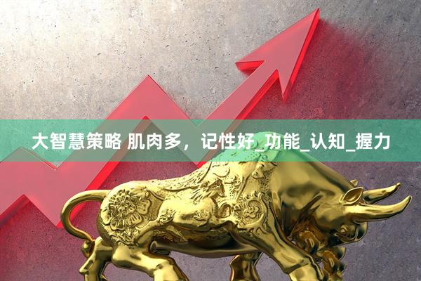 大智慧策略 肌肉多，记性好_功能_认知_握力
