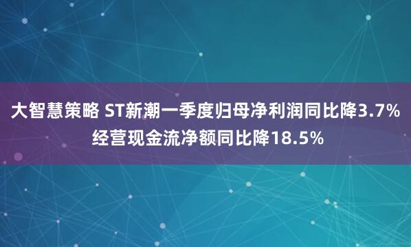 大智慧策略 ST新潮一季度归母净利润同比降3.7% 经营现金流净额同比降18.5%