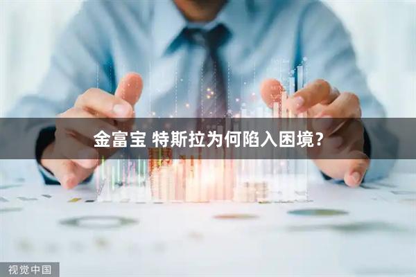 金富宝 特斯拉为何陷入困境？