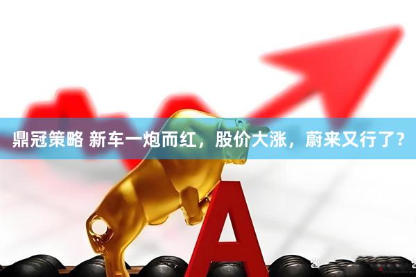 鼎冠策略 新车一炮而红，股价大涨，蔚来又行了？
